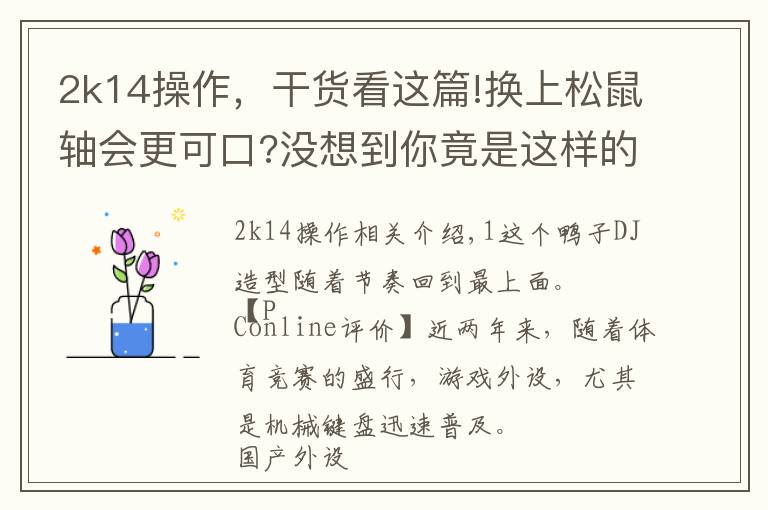 2k14操作,干货看这篇!换上松鼠轴会更可口?没想到你竟是这样的机械键盘