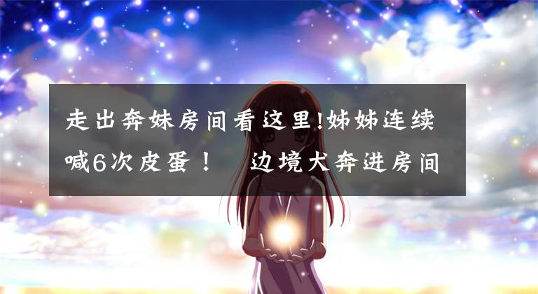 走出奔妹房间看这里!姊姊连续喊6次皮蛋! 边境犬奔进房间「灿笑回应6次」融化千人