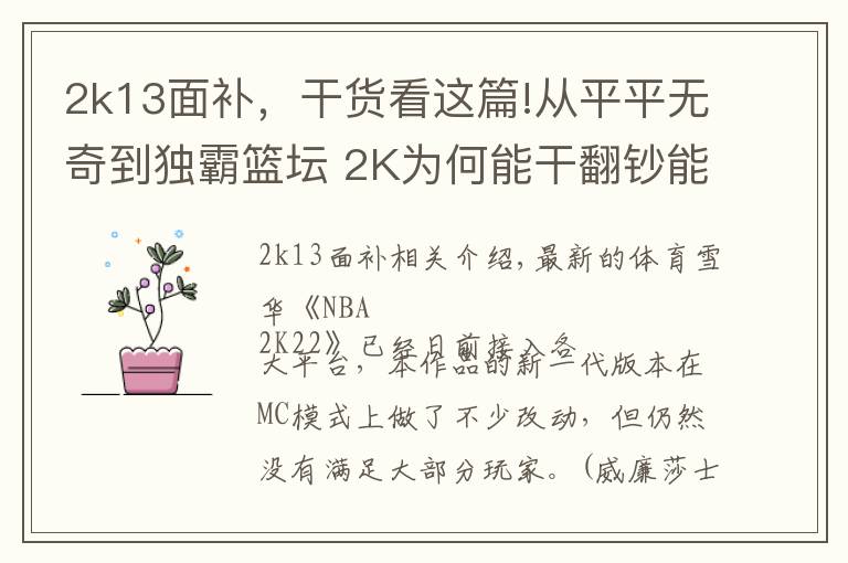 2k13面补,干货看这篇!从平平无奇到独霸篮坛 2K为何能干翻钞能力者EA?