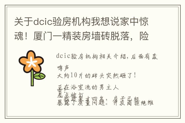 关于dcic验房机构我想说家中惊魂！厦门一精装房墙砖脱落，险些砸中业主！开发商说：过保了不管