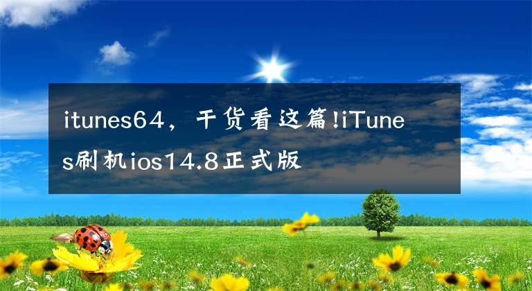 itunes64，干货看这篇!iTunes刷机ios14.8正式版