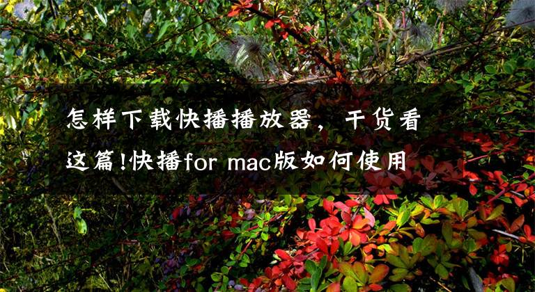 怎样下载快播播放器，干货看这篇!快播for mac版如何使用 使用快播for mac版的详细图文教程