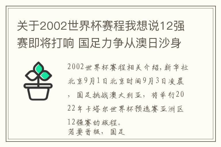 关于2002世界杯赛程我想说12强赛即将打响 国足力争从澳日沙身上抢分