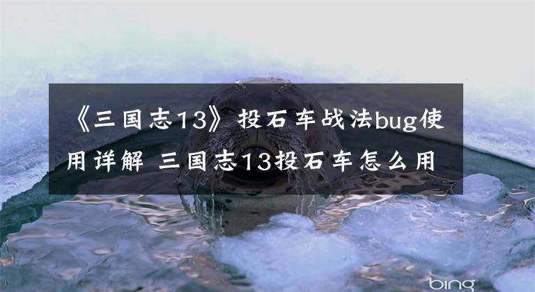 《三国志13》投石车战法bug使用详解 三国志13投石车怎么用