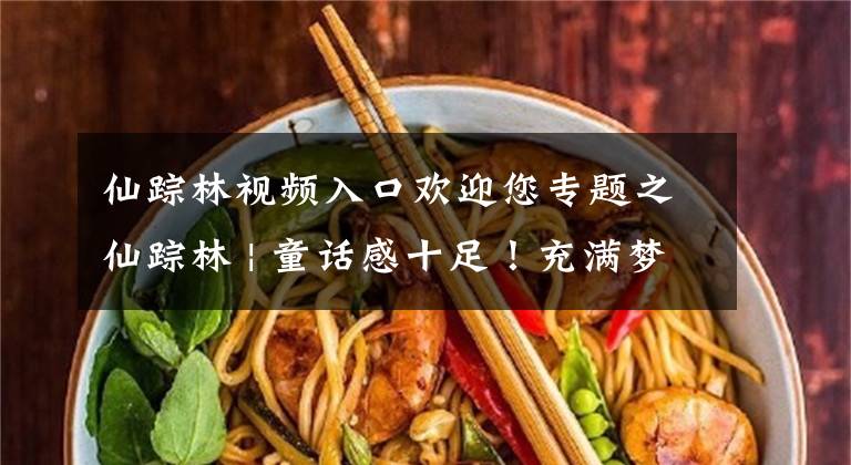 仙踪林视频入口欢迎您专题之仙踪林 | 童话感十足!充满梦幻的咖啡屋