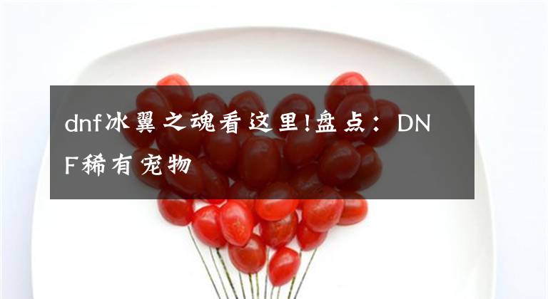 dnf冰翼之魂看这里!盘点:DNF稀有宠物