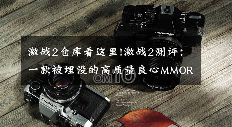 激战2仓库看这里!激战2测评:一款被埋没的高质量良心MMORPG游戏