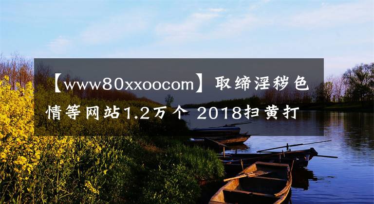 【www80xxoocom】取缔淫秽色情等网站1.2万个 2018扫黄打非不留死角