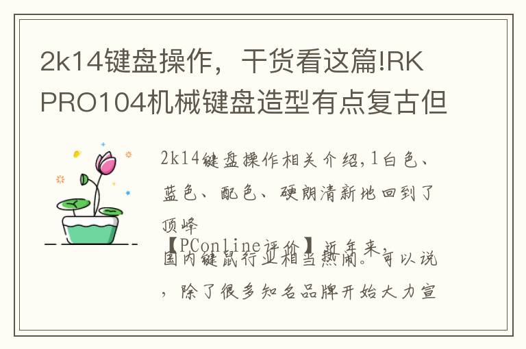2k14键盘操作,干货看这篇!RK PRO104机械键盘造型有点复古但挺酷!