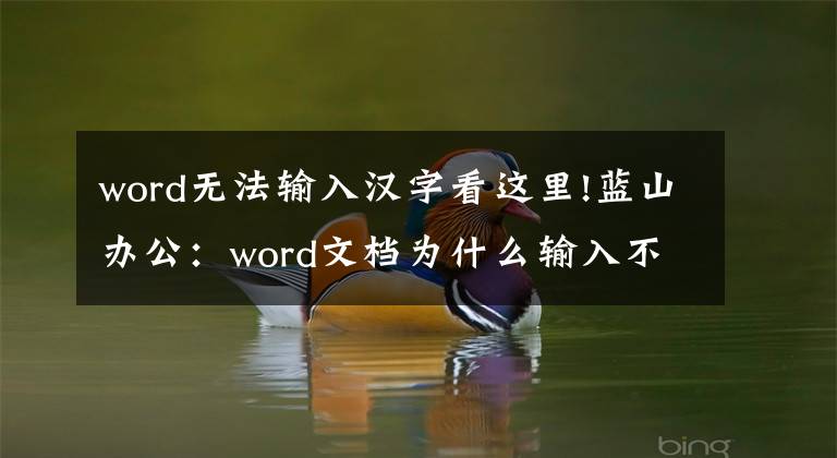 word无法输入汉字看这里!蓝山办公:word文档为什么输入不了中文