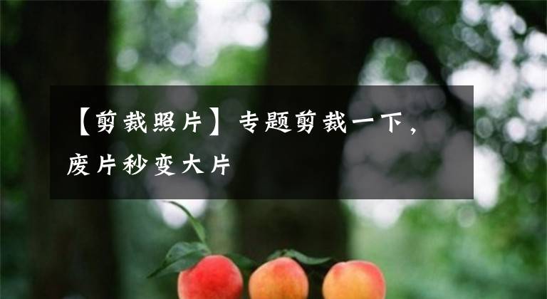 【剪裁照片】专题剪裁一下，废片秒变大片