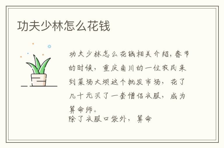 功夫少林怎么花钱