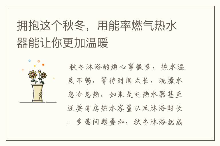 拥抱这个秋冬,用能率燃气热水器能让你更加温暖