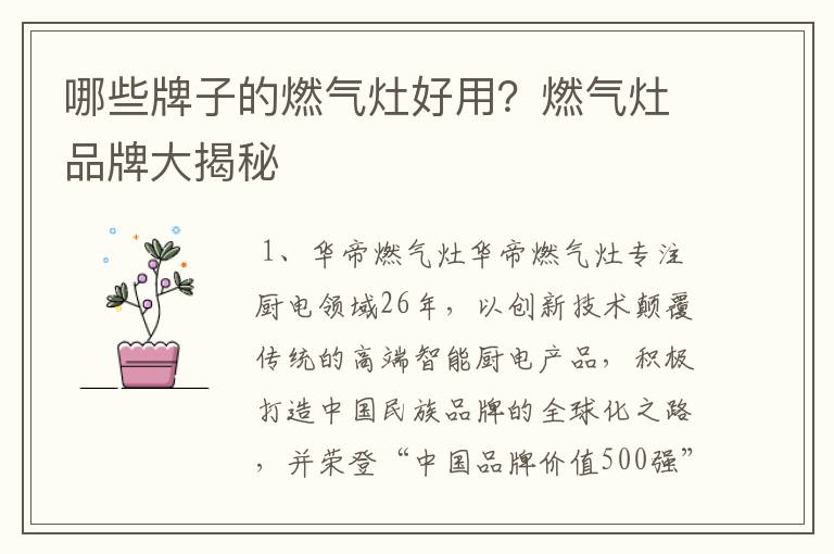 哪些牌子的燃气灶好用？燃气灶品牌大揭秘