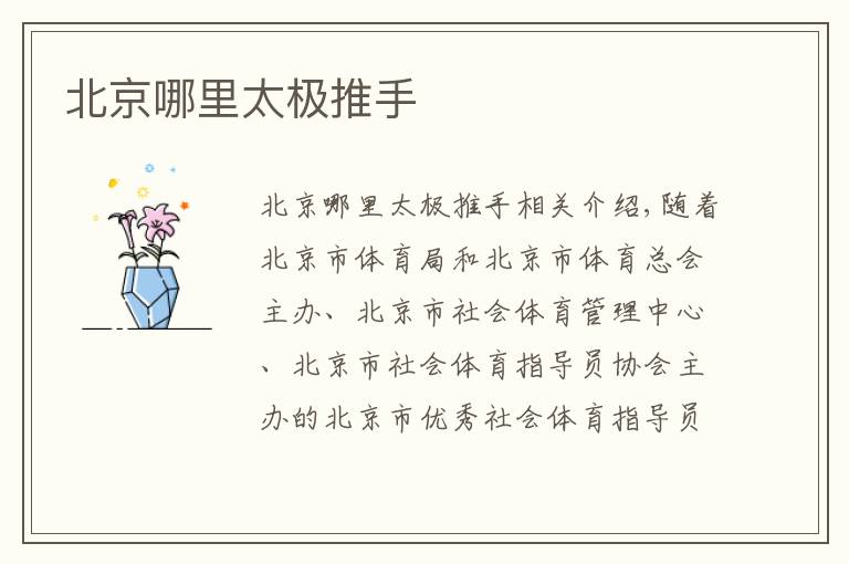 北京哪里太极推手