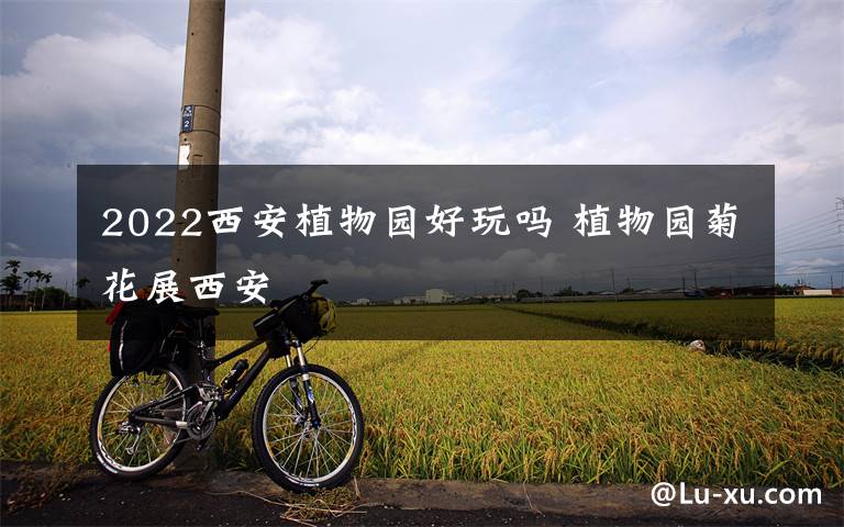 2022西安植物园好玩吗 植物园菊花展西安