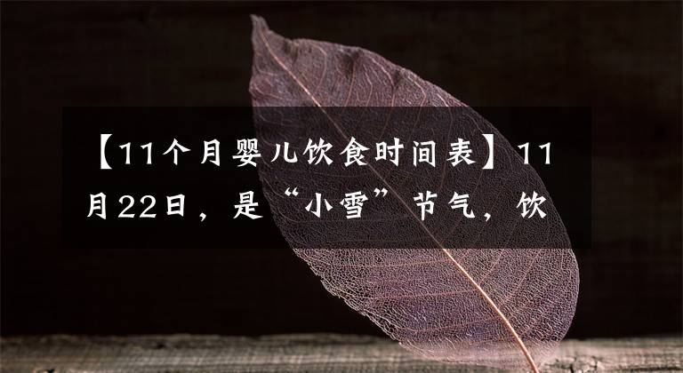 【11个月婴儿饮食时间表】11月22日,是“小雪”节气,饮食上应该吃什么?又该如何养生呢