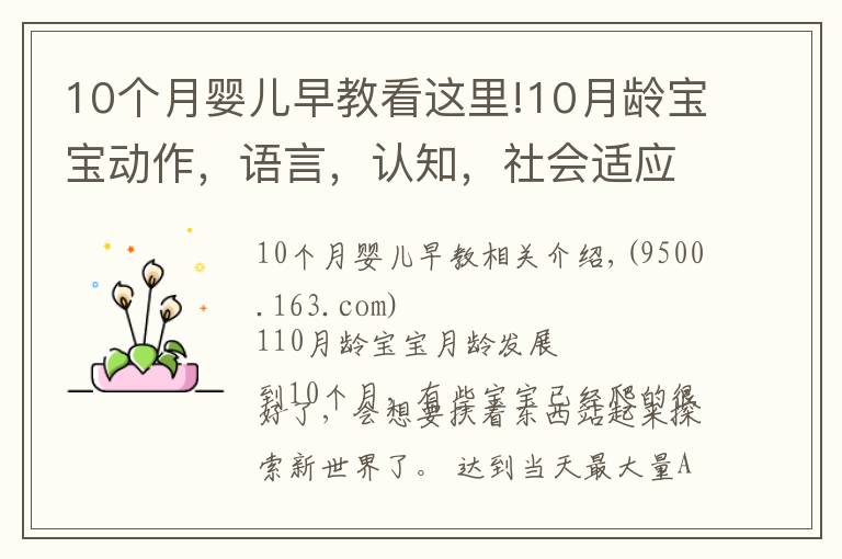 10个月婴儿早教看这里!10月龄宝宝动作,语言,认知,社会适应全面测评