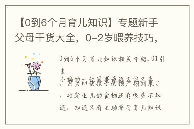 【0到6个月育儿知识】专题新手父母干货大全,0-2岁喂养技巧,学会健康护理呵护成长