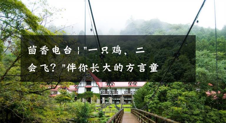 茴香电台:一只鸡,二会飞?伴你长大的方言童谣,还记得多少?