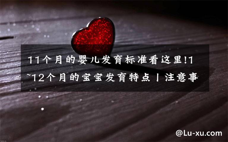 11个月的婴儿发育标准看这里!1~12个月的宝宝发育特点丨注意事项丨早教玩具推荐