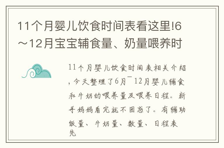 11个月婴儿饮食时间表看这里!6~12月宝宝辅食量、奶量喂养时间表,新手妈妈收藏