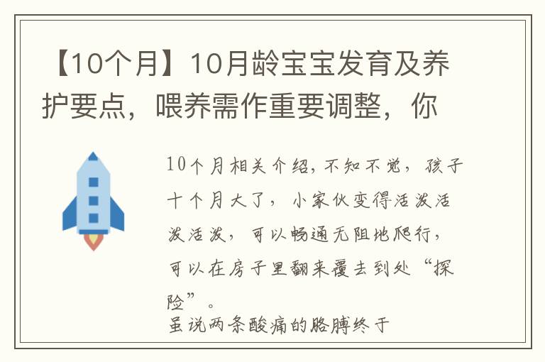 【10个月】10月龄宝宝发育及养护要点,喂养需作重要调整,你准备好了吗?