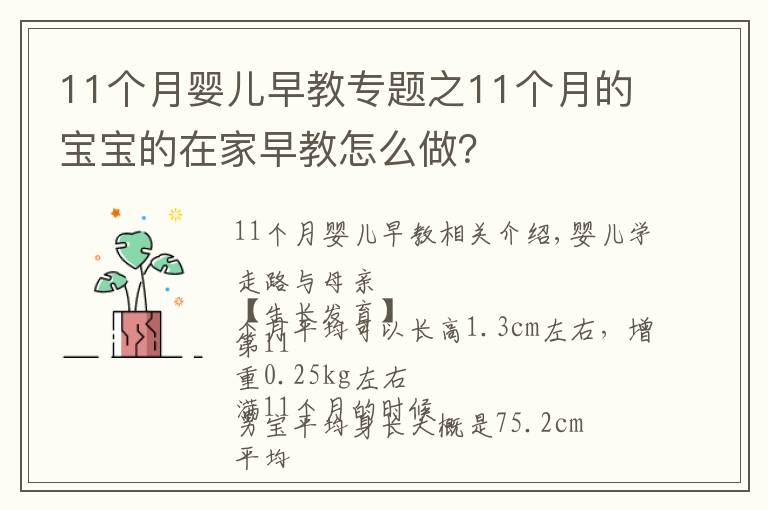 11个月婴儿早教专题之11个月的宝宝的在家早教怎么做?