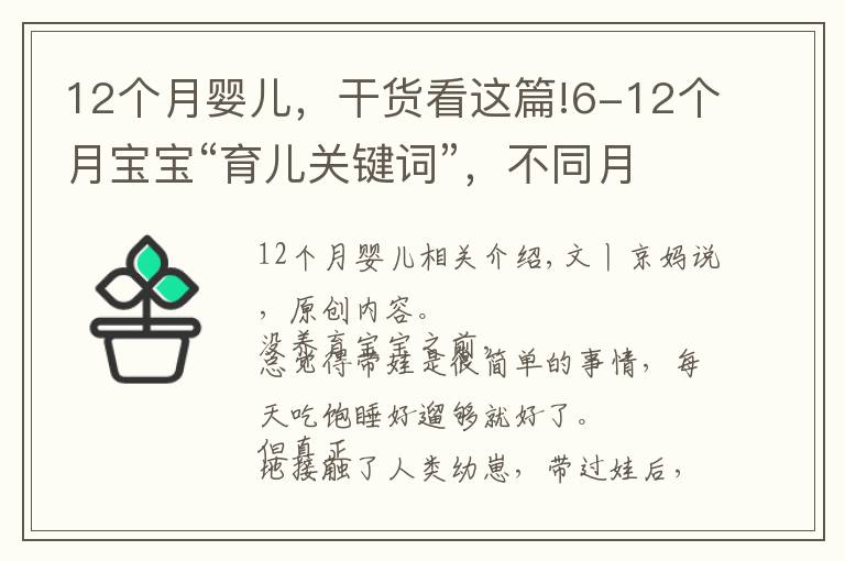 12个月婴儿,干货看这篇!6-12个月宝宝“育儿关键词”,不同月龄养护重点及建议,收藏