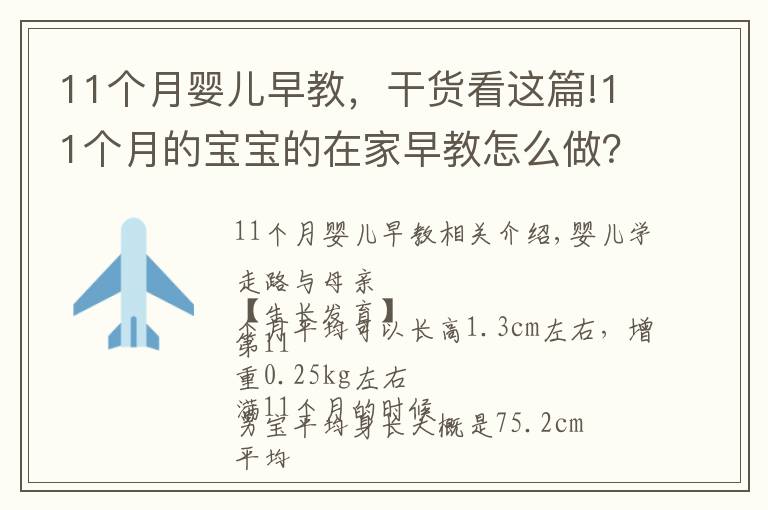 11个月婴儿早教,干货看这篇!11个月的宝宝的在家早教怎么做?
