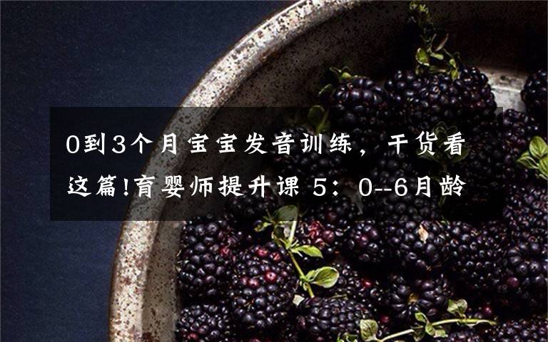 0到3个月宝宝发音训练,干货看这篇!育婴师提升课 5:0--6月龄发育观察要点及延伸(2)