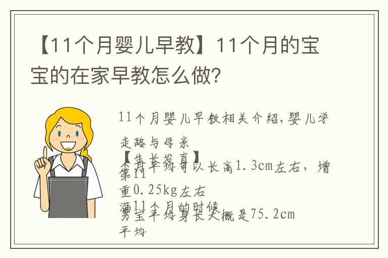 【11个月婴儿早教】11个月的宝宝的在家早教怎么做?