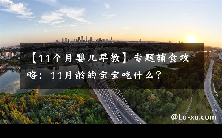 【11个月婴儿早教】专题辅食攻略:11月龄的宝宝吃什么?