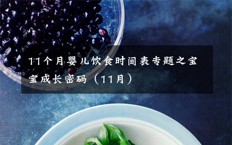11个月婴儿饮食时间表专题之宝宝成长密码(11月)