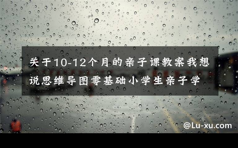 关于10-12个月的亲子课教案我想说思维导图零基础小学生亲子学习的课教案第四课