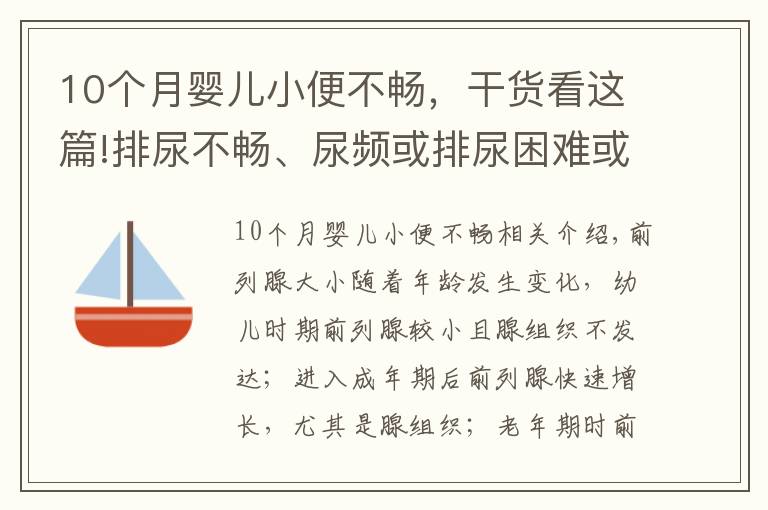 10个月婴儿小便不畅,干货看这篇!排尿不畅、尿频或排尿困难或是前列腺增生来袭?4个方法能诊断
