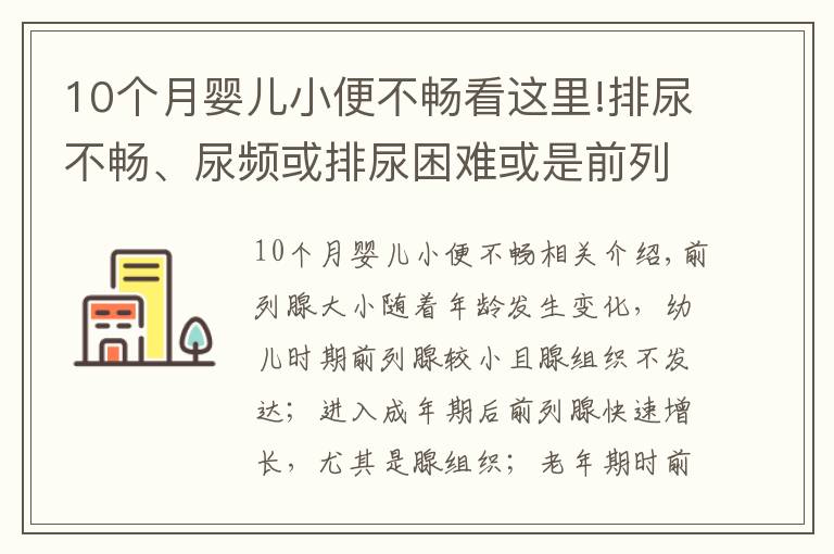 10个月婴儿小便不畅看这里!排尿不畅、尿频或排尿困难或是前列腺增生来袭?4个方法能诊断