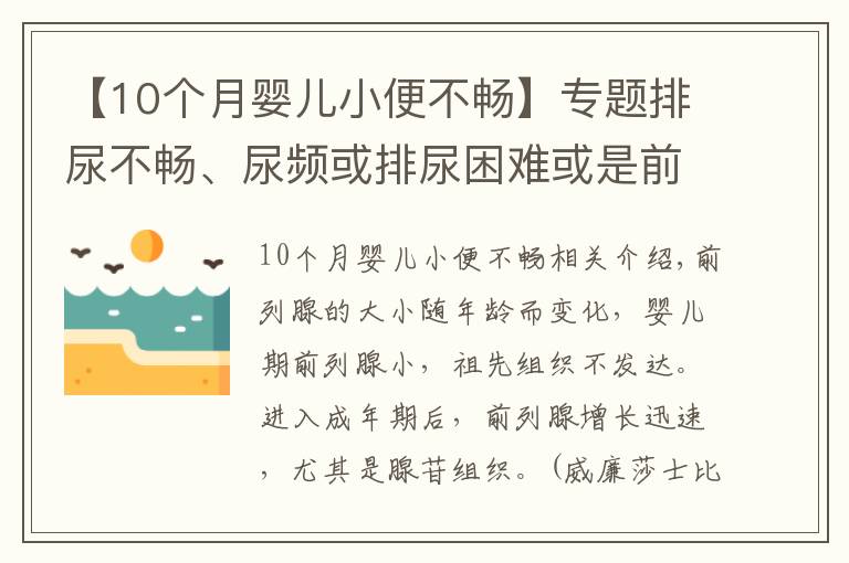 【10个月婴儿小便不畅】专题排尿不畅、尿频或排尿困难或是前列腺增生来袭?4个方法能诊断