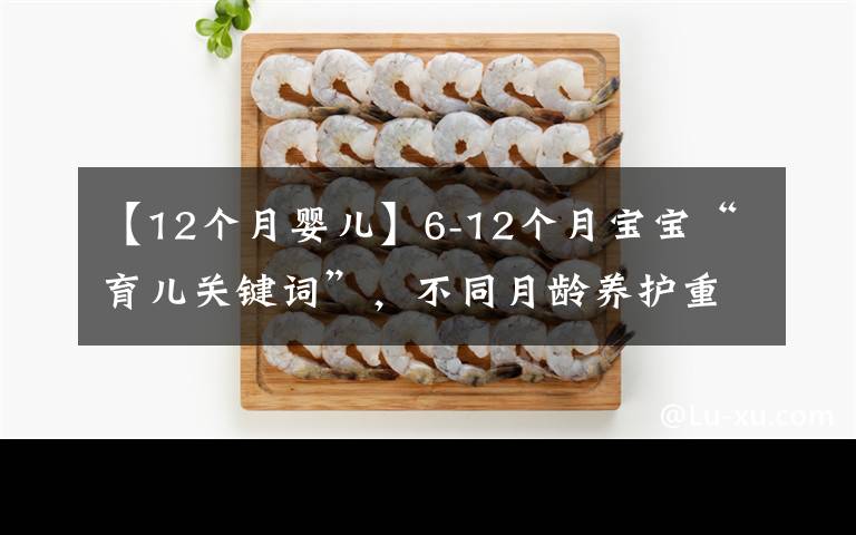 【12个月婴儿】6-12个月宝宝“育儿关键词”,不同月龄养护重点及建议,收藏