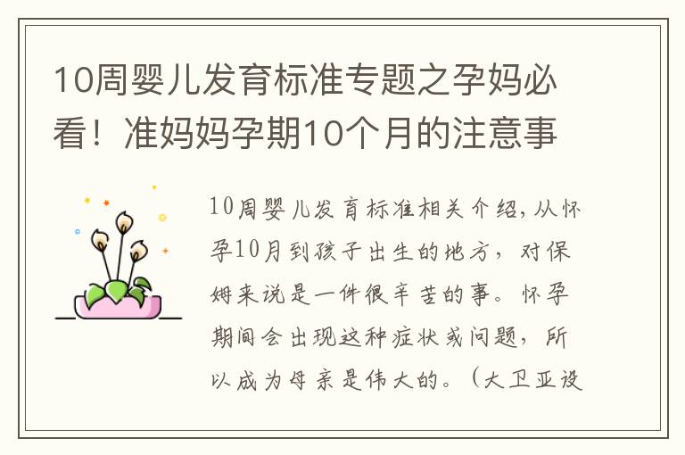 10周婴儿发育标准专题之孕妈必看!准妈妈孕期10个月的注意事项