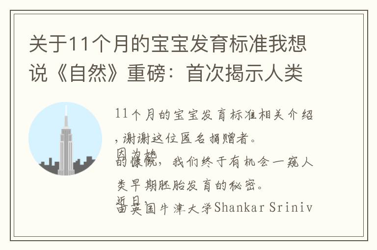 关于11个月的宝宝发育标准我想说《自然》重磅:首次揭示人类早期胚胎发育的秘密!受精后第16-19天,血细胞和原始生殖细胞都有了,神经系统还没开始分化丨科学大发现