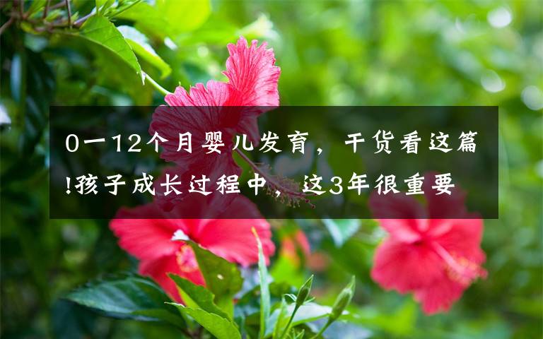 0一12个月婴儿发育,干货看这篇!孩子成长过程中,这3年很重要,宝妈最好亲自带