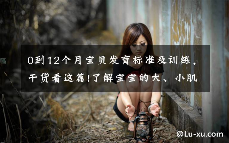 0到12个月宝贝发育标准及训练,干货看这篇!了解宝宝的大、小肌肉发育敏感期