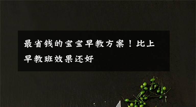最省钱的宝宝早教方案!比上早教班效果还好