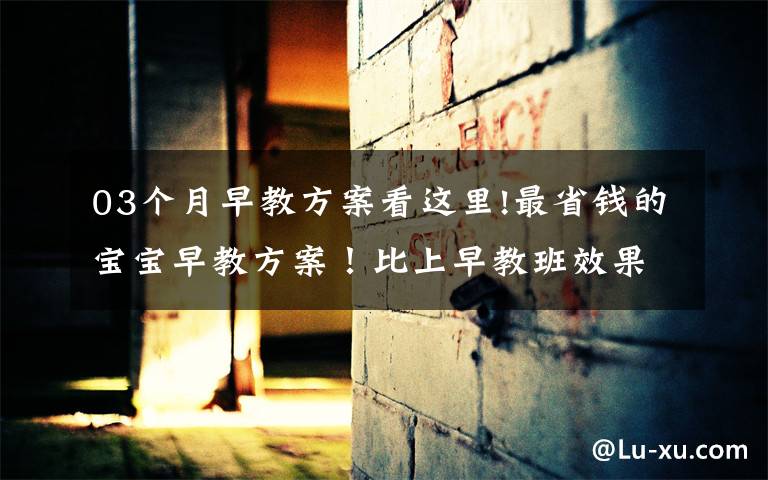 03个月早教方案看这里!最省钱的宝宝早教方案!比上早教班效果还好