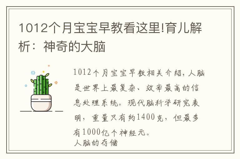 1012个月宝宝早教看这里!育儿解析:神奇的大脑