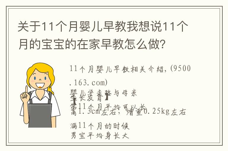 关于11个月婴儿早教我想说11个月的宝宝的在家早教怎么做?