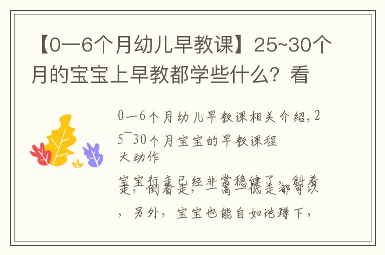 【0一6个月幼儿早教课】25~30个月的宝宝上早教都学些什么?看这一篇文章就够了
