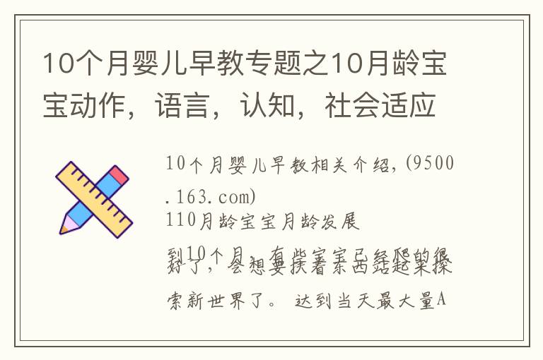 10个月婴儿早教专题之10月龄宝宝动作,语言,认知,社会适应全面测评
