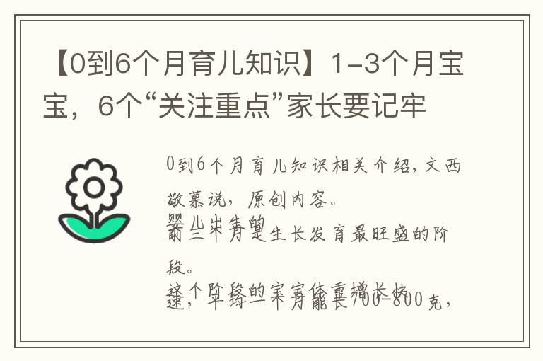 【0到6个月育儿知识】1-3个月宝宝,6个“关注重点”家长要记牢,育儿不坑娃不焦虑